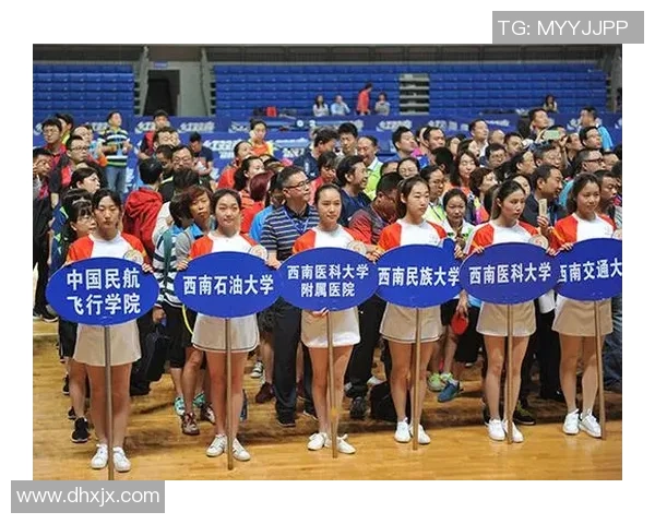 对话杨敏：回顾排球生涯的辉煌与挑战分享